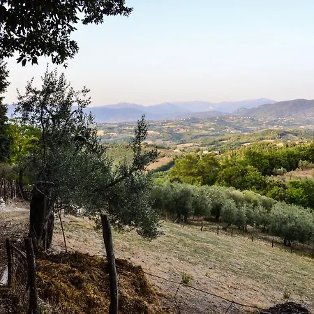 La Pergola Oda ve Kahvaltı *